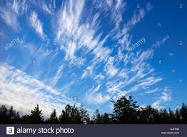 Attēlu rezultāti vaicājumam “Cirrus fibratus”