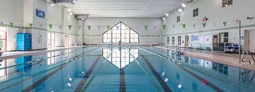 Image result for Rykneld Sharley Park Swimming Club