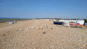 Image result for Goring By Sea Cc