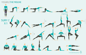 Image result for body midline