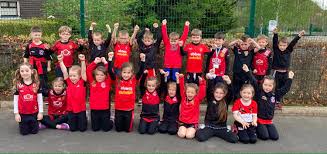 Image result for St Bronagh`s Gaa