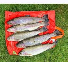Image result for Segdoune Flyfishers` Angling Club
