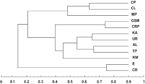Attēlu rezultāti vaicājumam “Badhamiopsis scripta sessile”