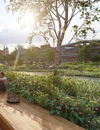 Image result for Killamarsh Mayhem