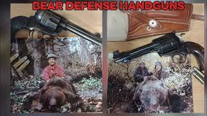 Image result for Whitehead Air Rifle & Pistol Club