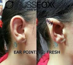 Image result for ear mod