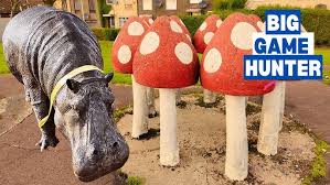 Image result for Glenrothes Grizzlies