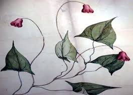 Image result for Thaddus Haenke