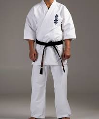 Image result for Kyokushin Karate