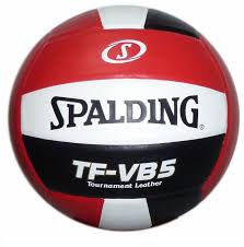 Image result for Spalding Saracens Volleyball Club