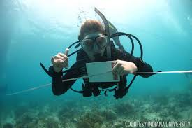 Image result for Reading University Sub Aqua Club
