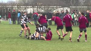 Image result for Royston Rufc