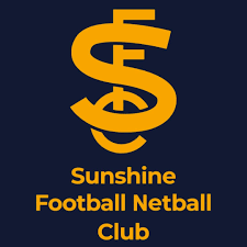 Image result for Integral Netball Club