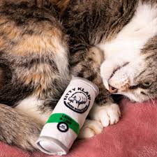 Image result for limecat