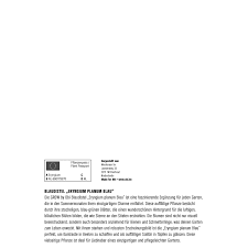 Image result for Blaudistel