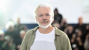 Image result for julian assange
