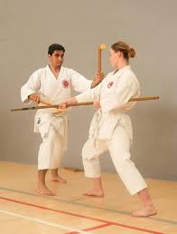 Image result for Tsunami Karate Club
