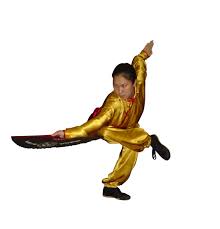 Image result for kung fu