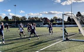 Image result for Frimley Green Football Club