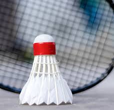 Image result for Watlington Badminton Club