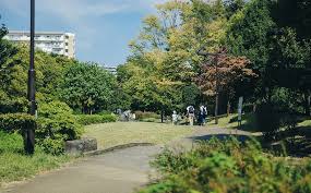 Image result for 東大和市南街5丁目〈売地〉西武拝島線「東大和市」駅徒歩9分　公園・教育・病院・商業施設などが徒歩圏内に充実した ご家族みんなが安心出来る好立地！　陽当たり良好な二方道路の土地