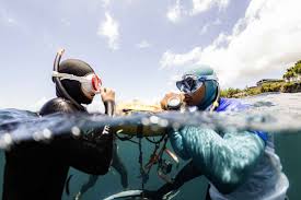 Image result for Blue Water Freediving School
