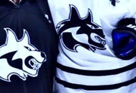 Image result for Streatham Night Wolves Ice Hockey Team