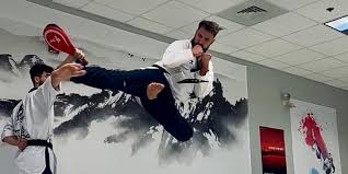 Image result for Taunton Karate academy