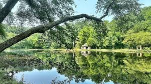 Image result for Hillpark Bowling & Tennis Club