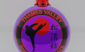 Image result for Burnham Karate Club