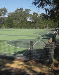 Image result for Lastonet Netball Club