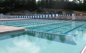 Image result for Kingsbury Aquarius Swimming Club