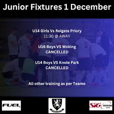 Image result for Reigate Priory Hockey Club