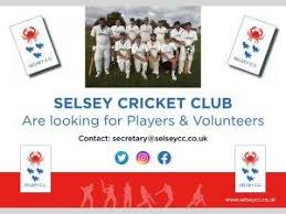 Image result for Selsted Cricket Club
