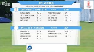Image result for Byfleet Cricket Club