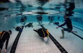 Image result for Notanx Freedive Club