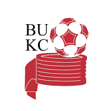 Image result for Castle Korfball Club