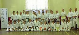 Image result for Backwell Karate