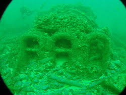 Image result for Birkenhead Sc