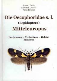 Attēlu rezultāti vaicājumam “Oecophoridae”