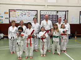 Image result for York University Karate Club