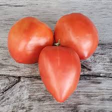 Afbeeldingsresultaat voor amish paste tomato