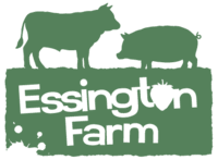 Image result for Brewood Cricket Club