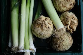 Image result for Sellerie