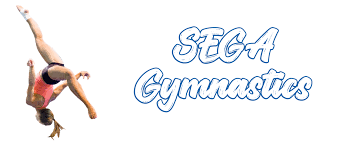 Image result for Bagshot Gymnastics Club