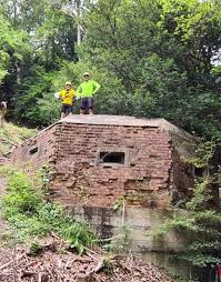 Image result for Abinger Forest Riding Club