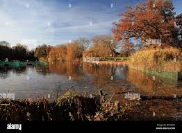 Image result for Reigate Priory Bowmen