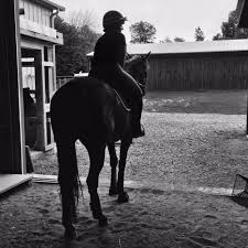 Image result for Stoneleigh Riding Club