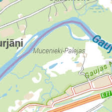 Attēlu rezultāti vaicājumam “Diphyus latebricola”