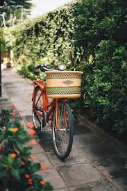 Image result for bicycle basket